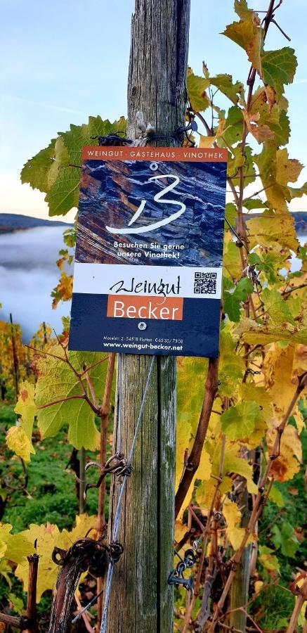 Platten Weingut U. Gaestehaus Becker מראה חיצוני תמונה